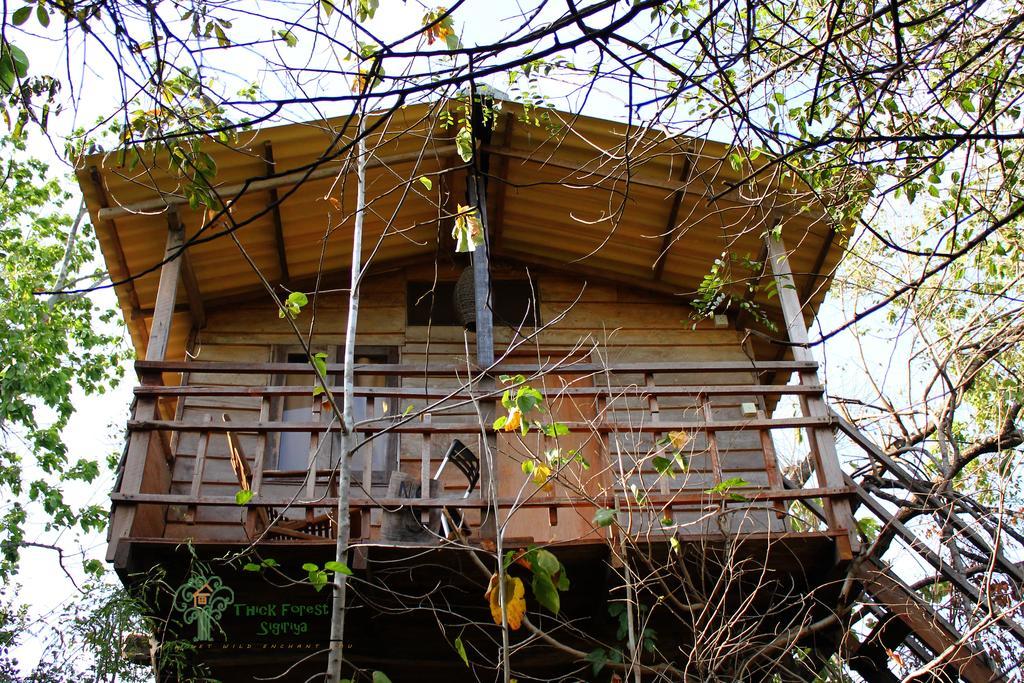The Thick Forest Sigiriya Zimmer foto