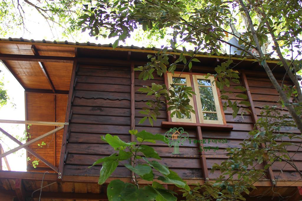 The Thick Forest Sigiriya Zimmer foto