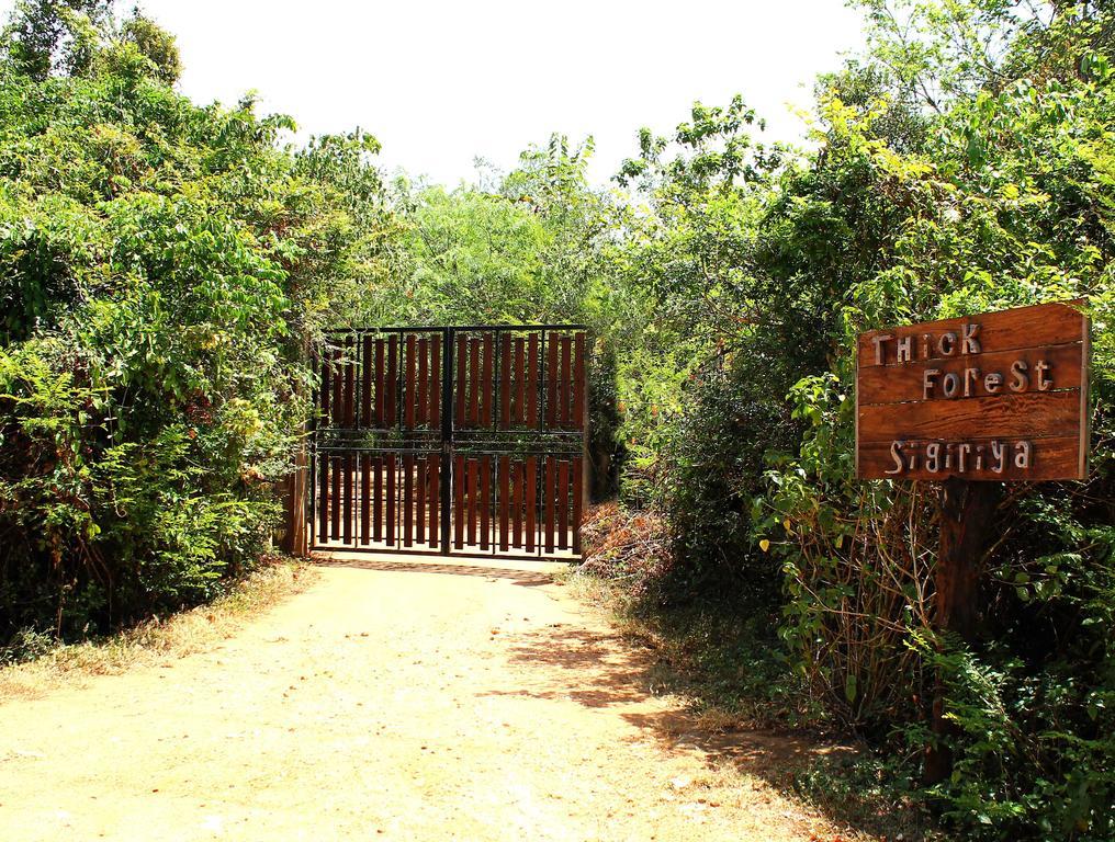 The Thick Forest Sigiriya Exterior foto