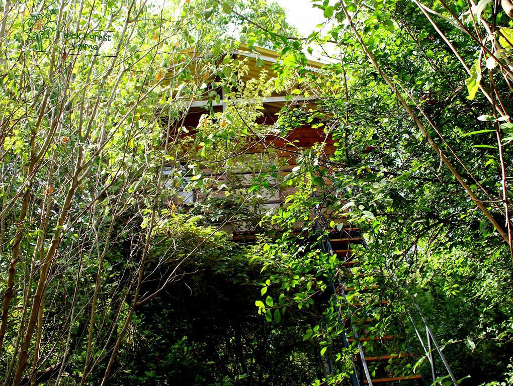 The Thick Forest Sigiriya Zimmer foto