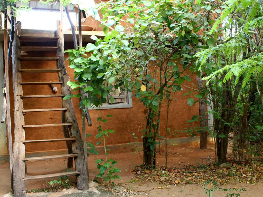 The Thick Forest Sigiriya Exterior foto