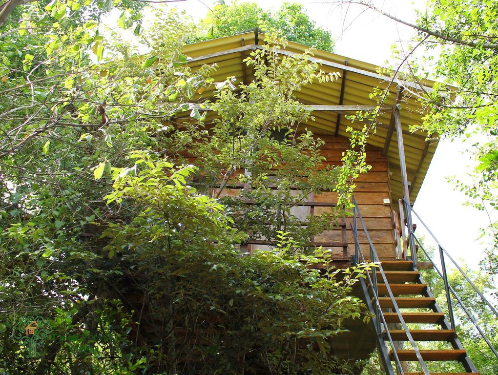 The Thick Forest Sigiriya Zimmer foto