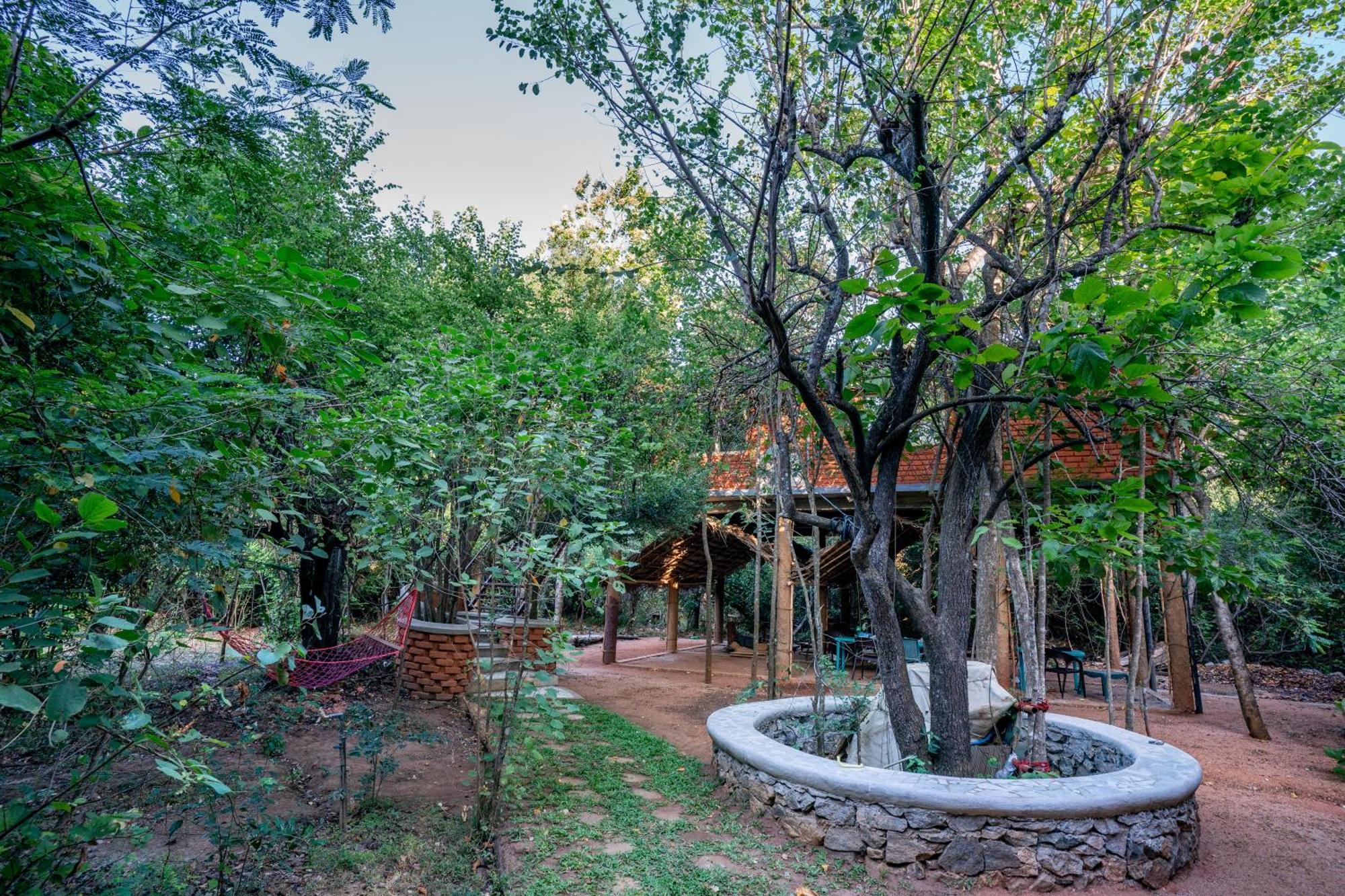 The Thick Forest Sigiriya Exterior foto