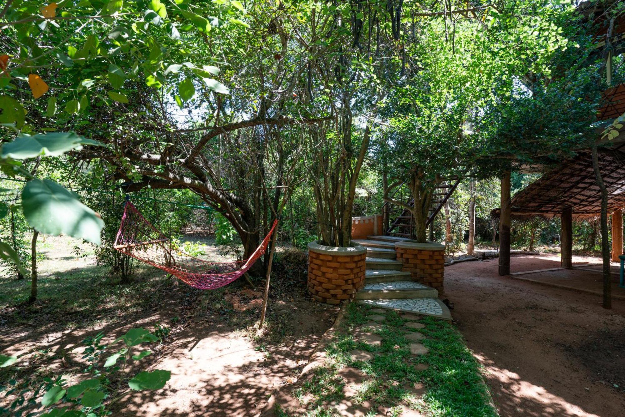 The Thick Forest Sigiriya Exterior foto