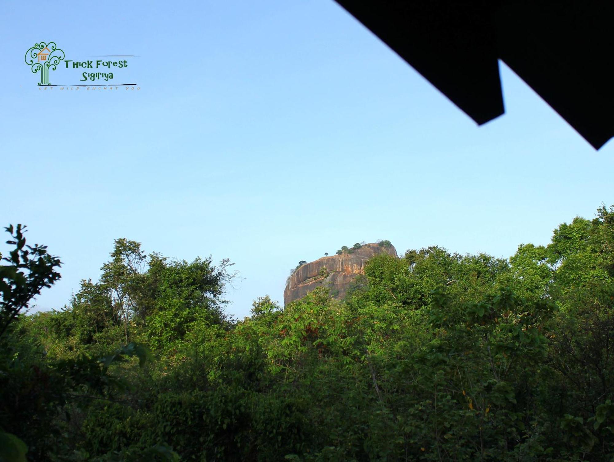 The Thick Forest Sigiriya Zimmer foto
