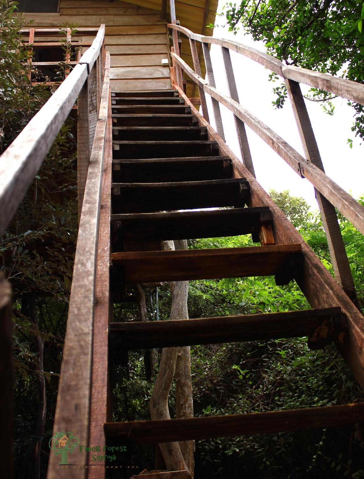 The Thick Forest Sigiriya Zimmer foto