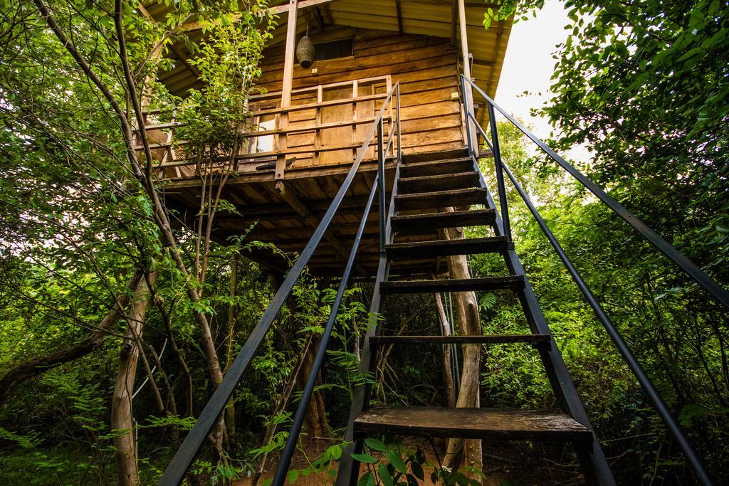 The Thick Forest Sigiriya Exterior foto