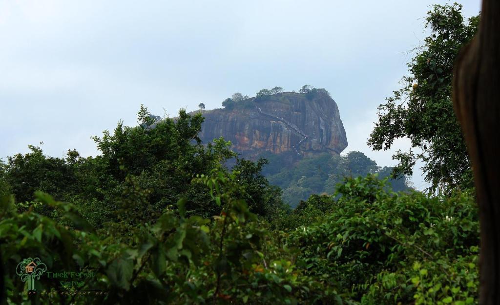 The Thick Forest Sigiriya Exterior foto