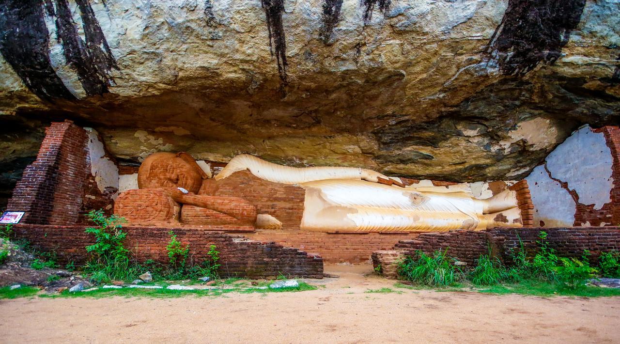 The Thick Forest Sigiriya Exterior foto