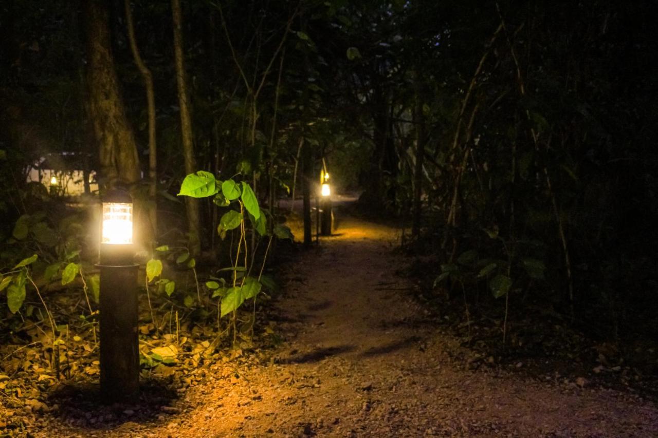 The Thick Forest Sigiriya Exterior foto